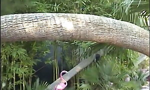Petite Asian mollycoddle wraps their way sass around a throbbing cock