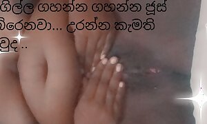 Sri lanka house tie the knot shetyyy black chubby pussy new videotape fuck with jelly cup